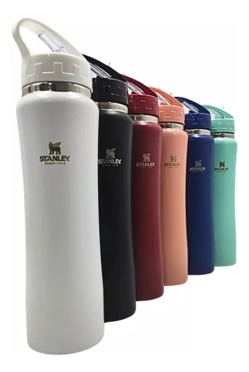 Garrafa Squeeze 750 Ml Aço Inox Academia Com Canudo Colors